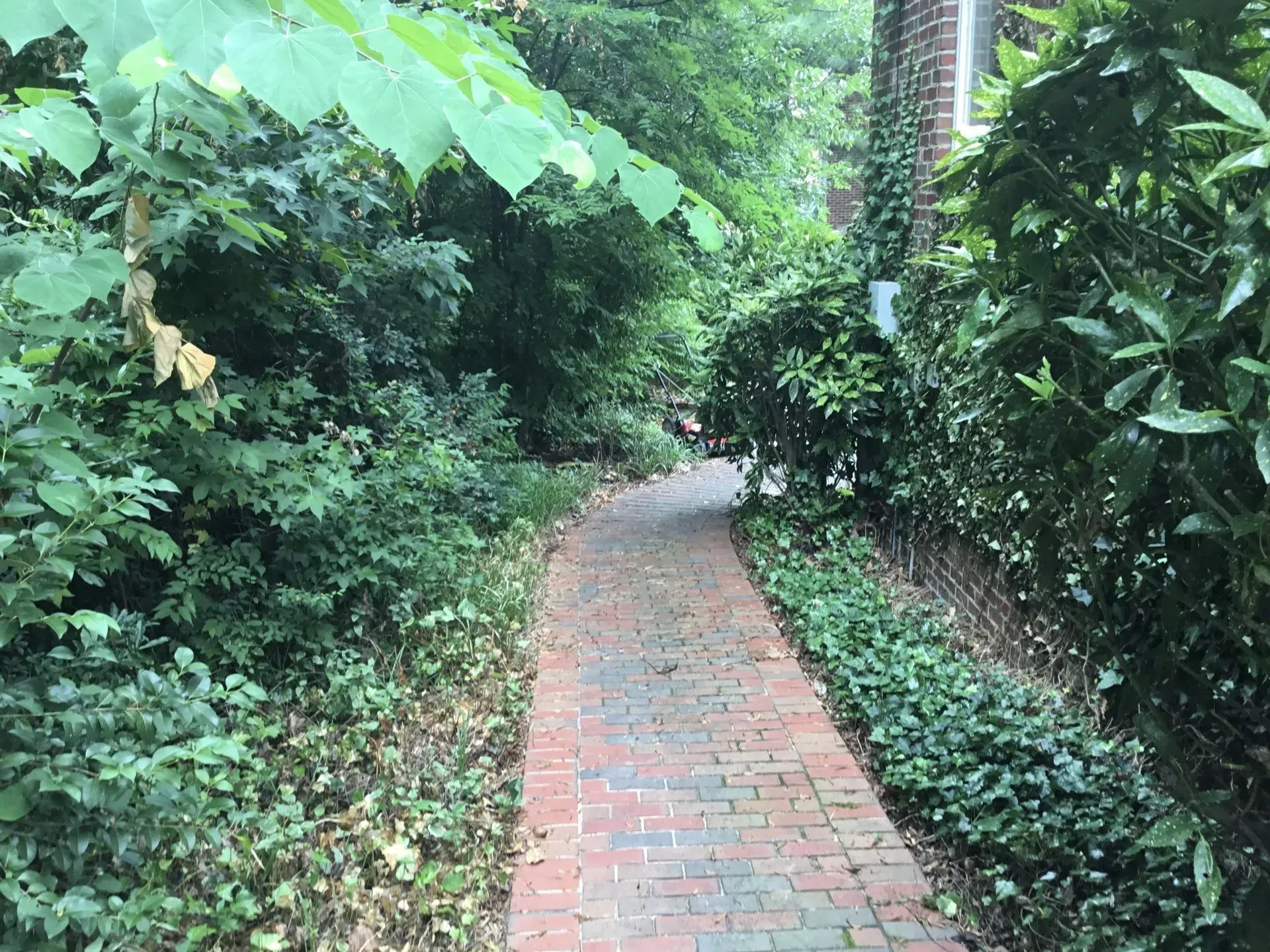 K & K Lawn Service Inc. recent project