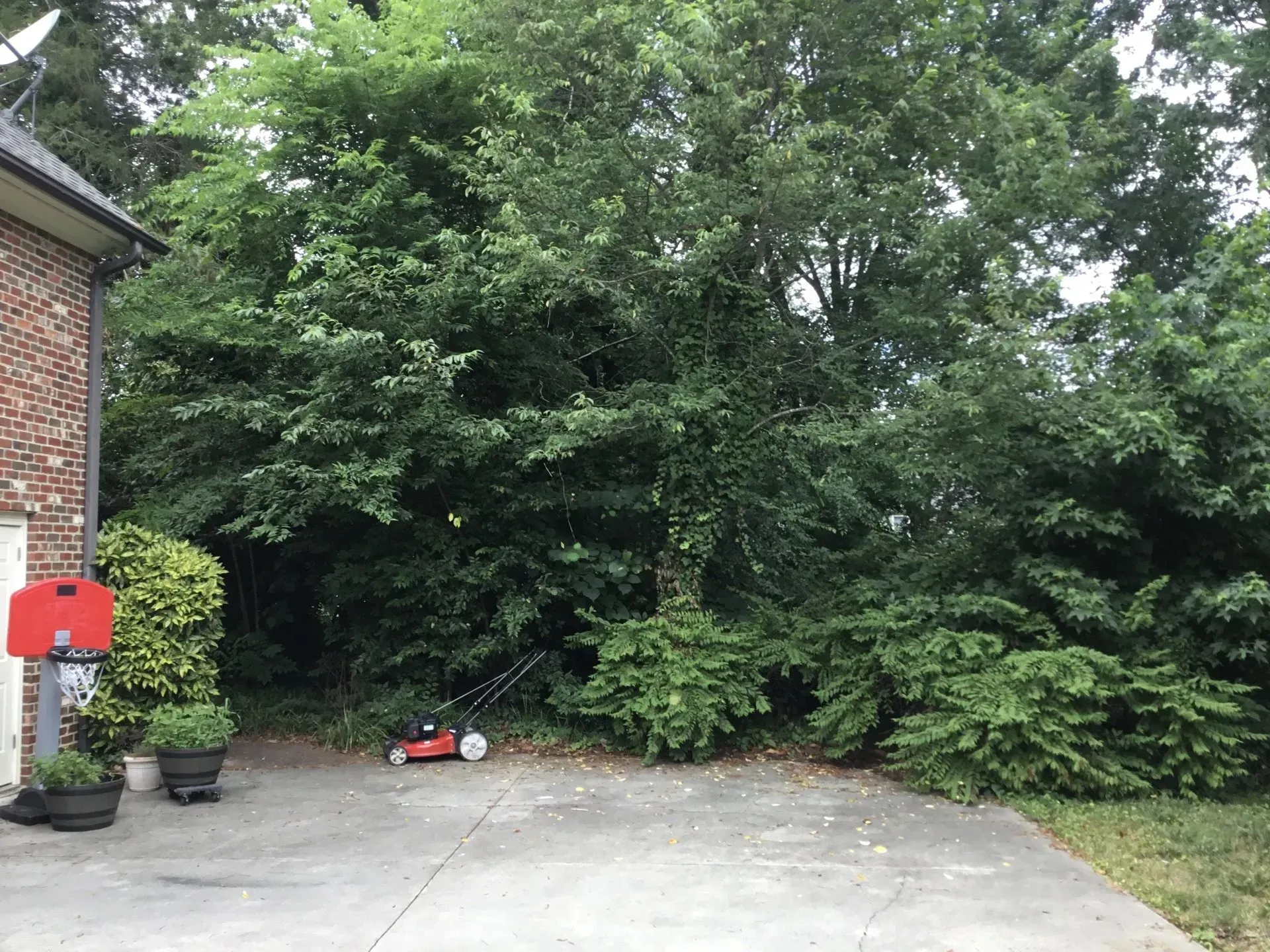 K & K Lawn Service Inc. recent project