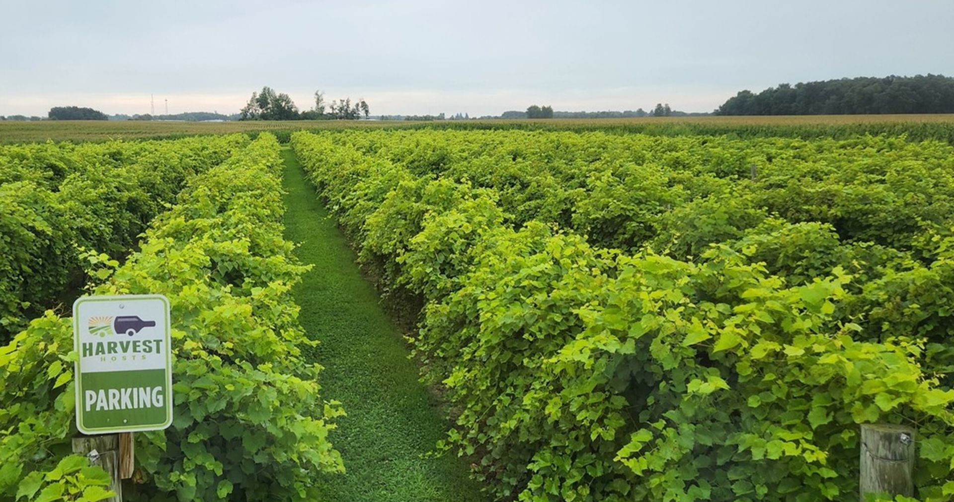 American Winery and Brewery hero image