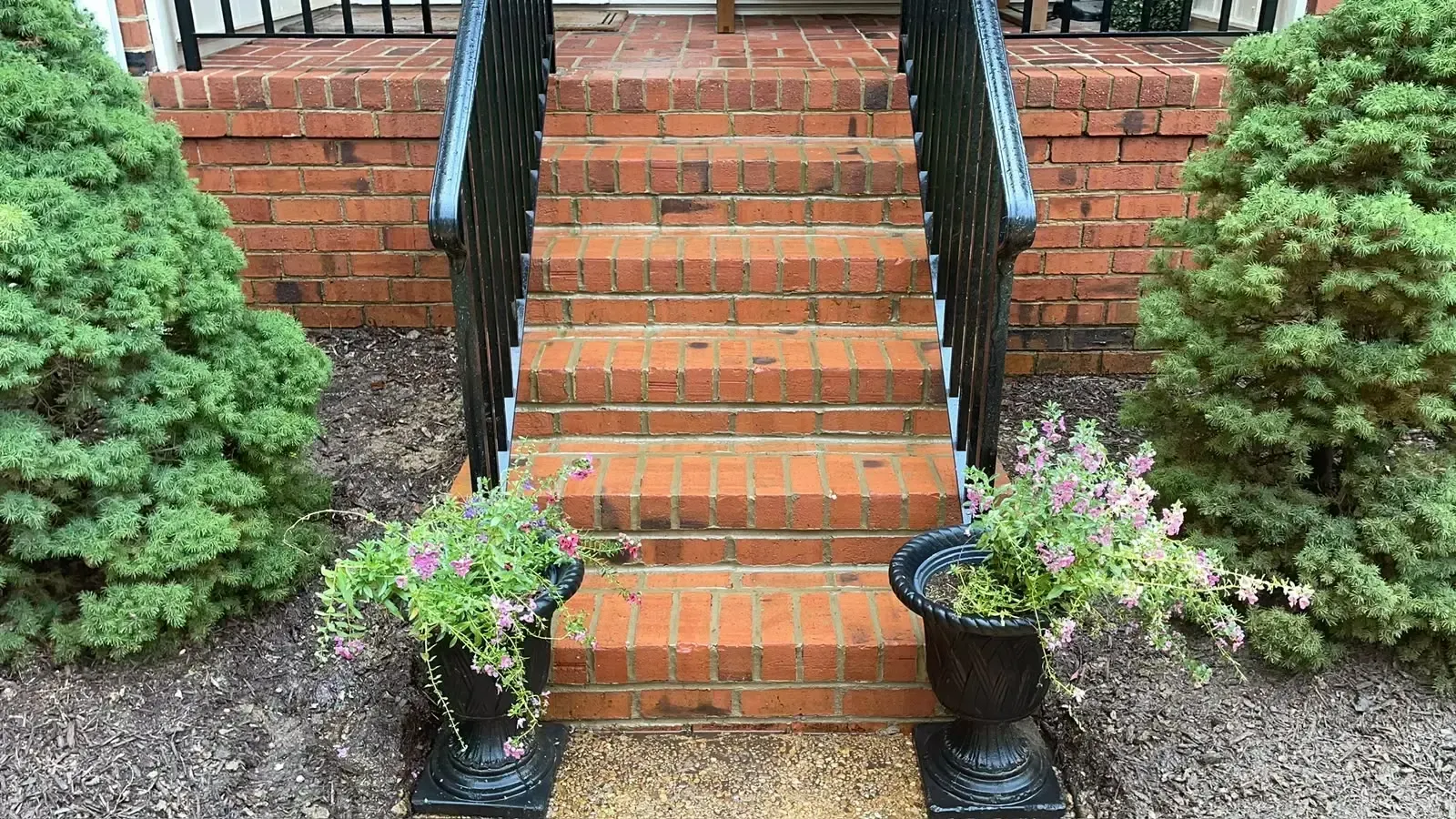 Brick front steps with black railings, bordered by potted flowers and evergreen shrubs.