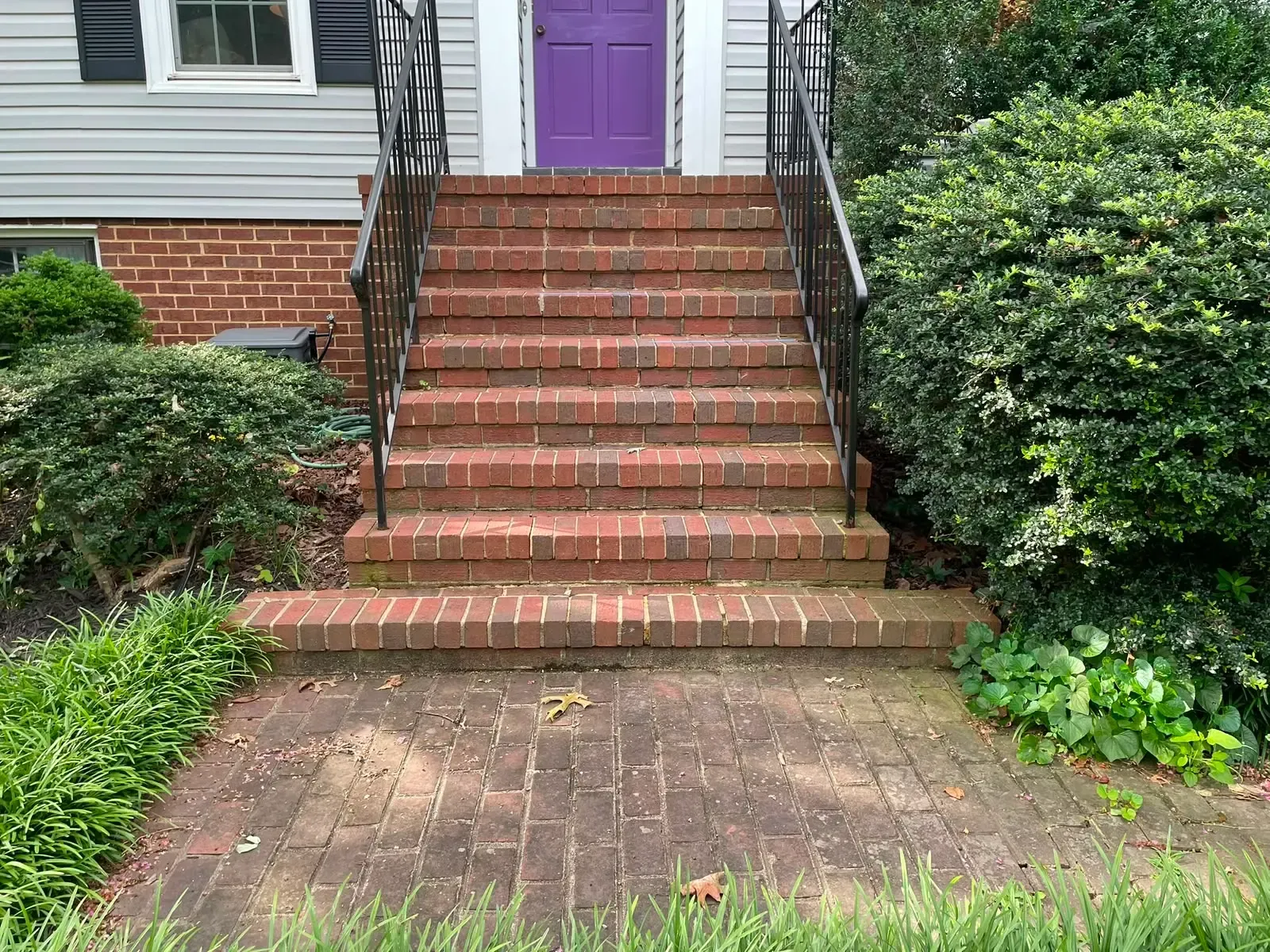 Brick front steps leading to a purple door, with black railings and shrubs on both sides