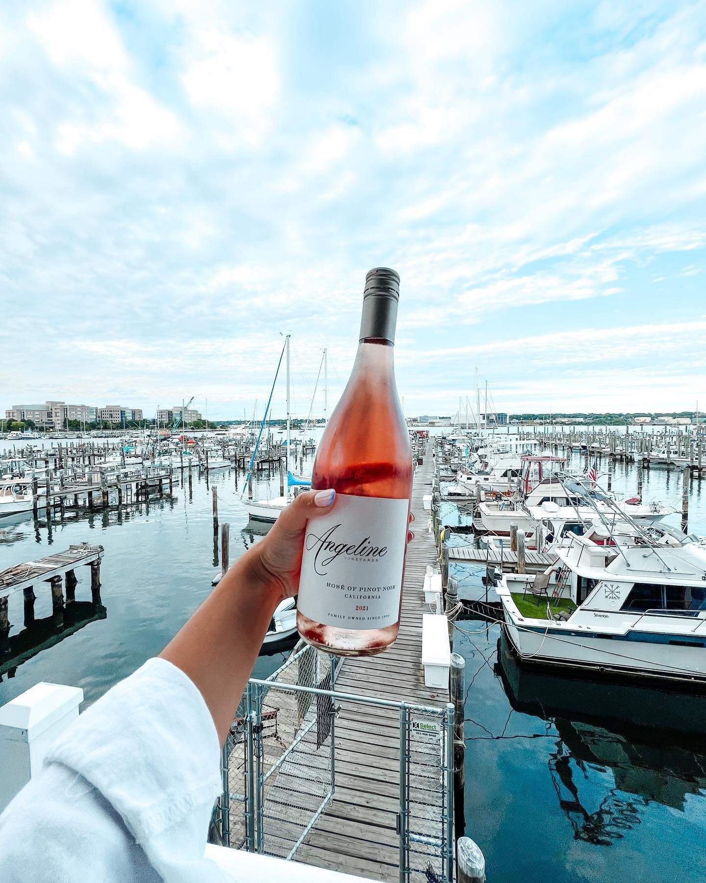 Hand holding a bottle of rosé wine above a marina filled with boats under a cloudy sky.