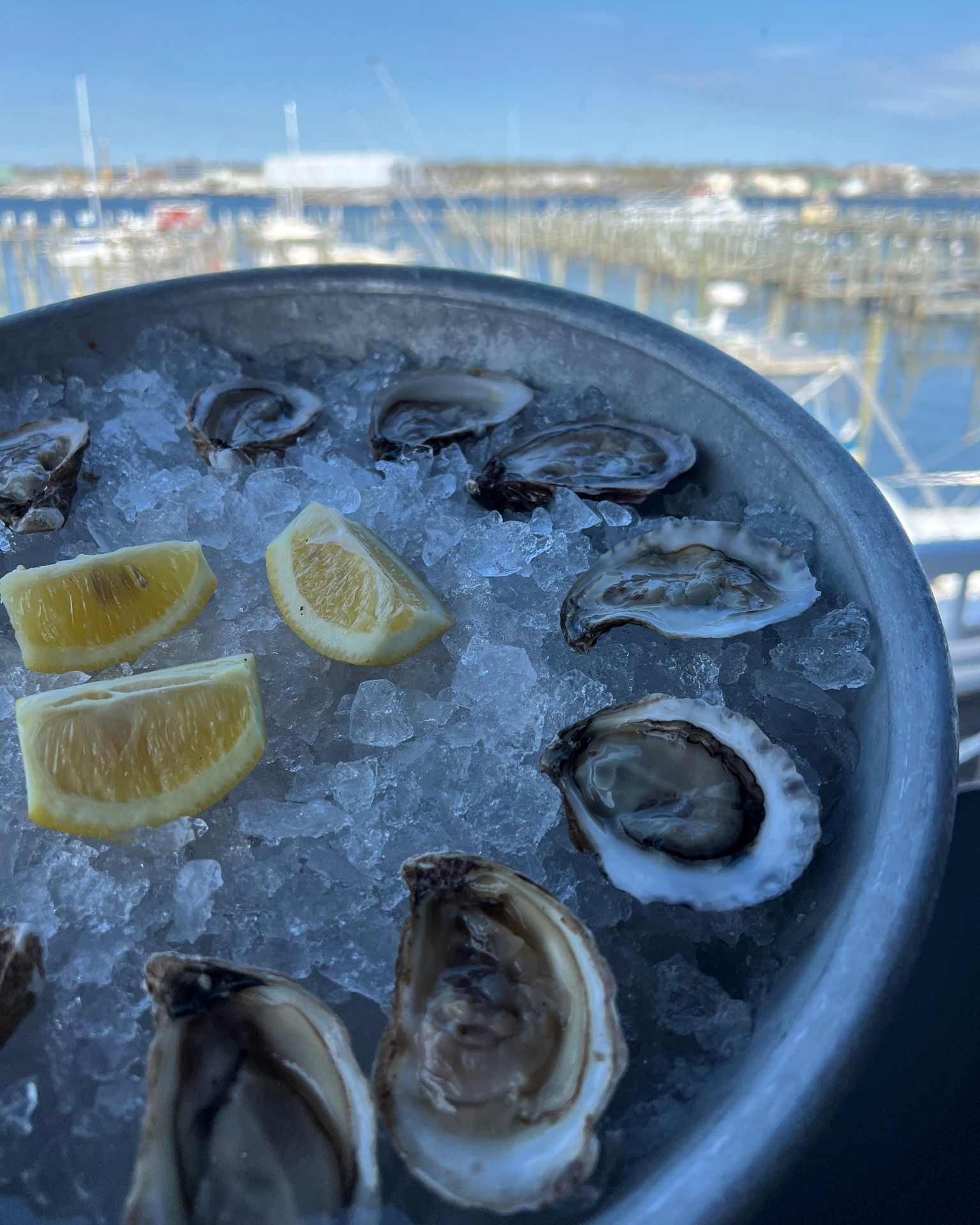 Oysters on ice with lemon wedges, harbor view in background.