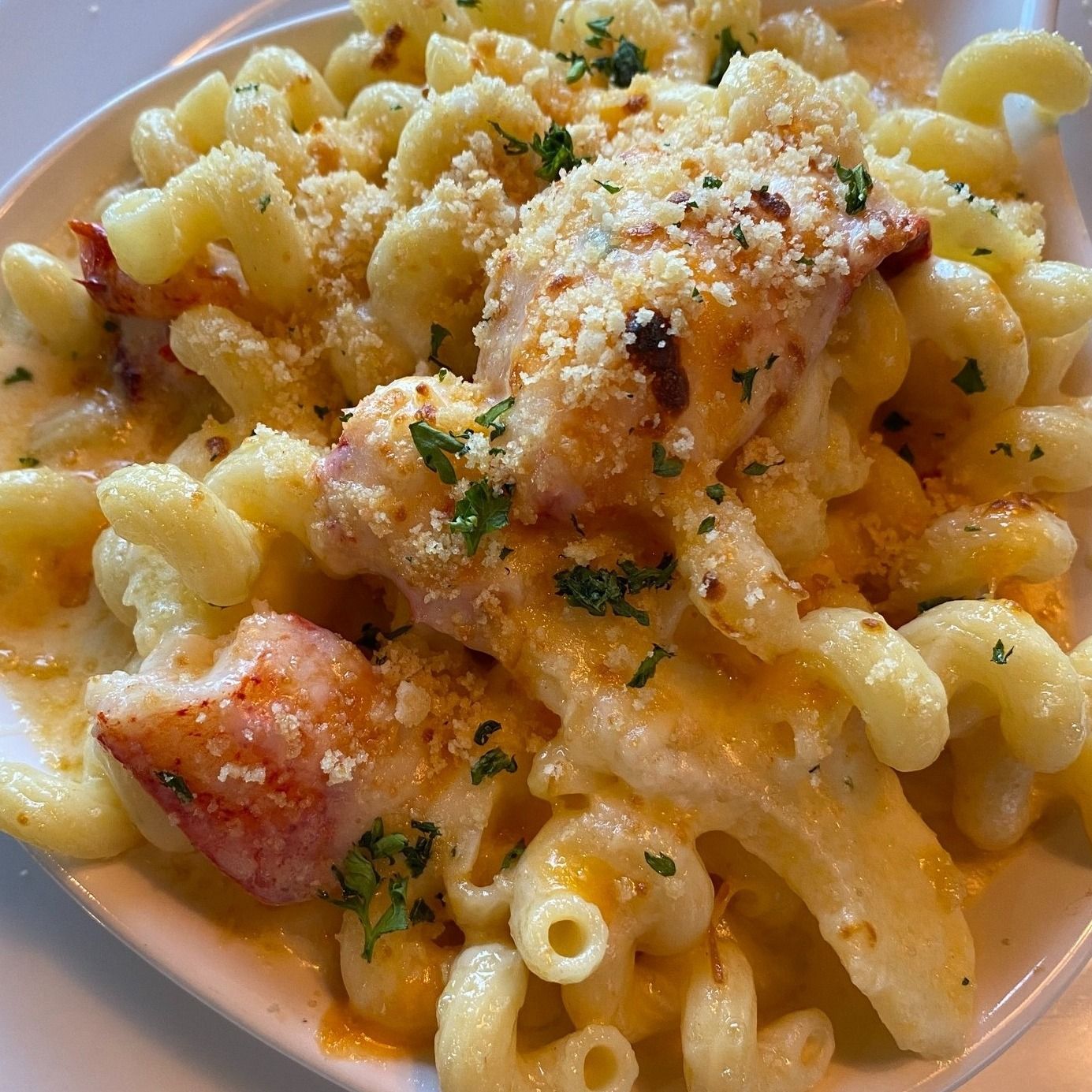 Lobster mac and cheese in a white bowl, topped with breadcrumbs and parsley.