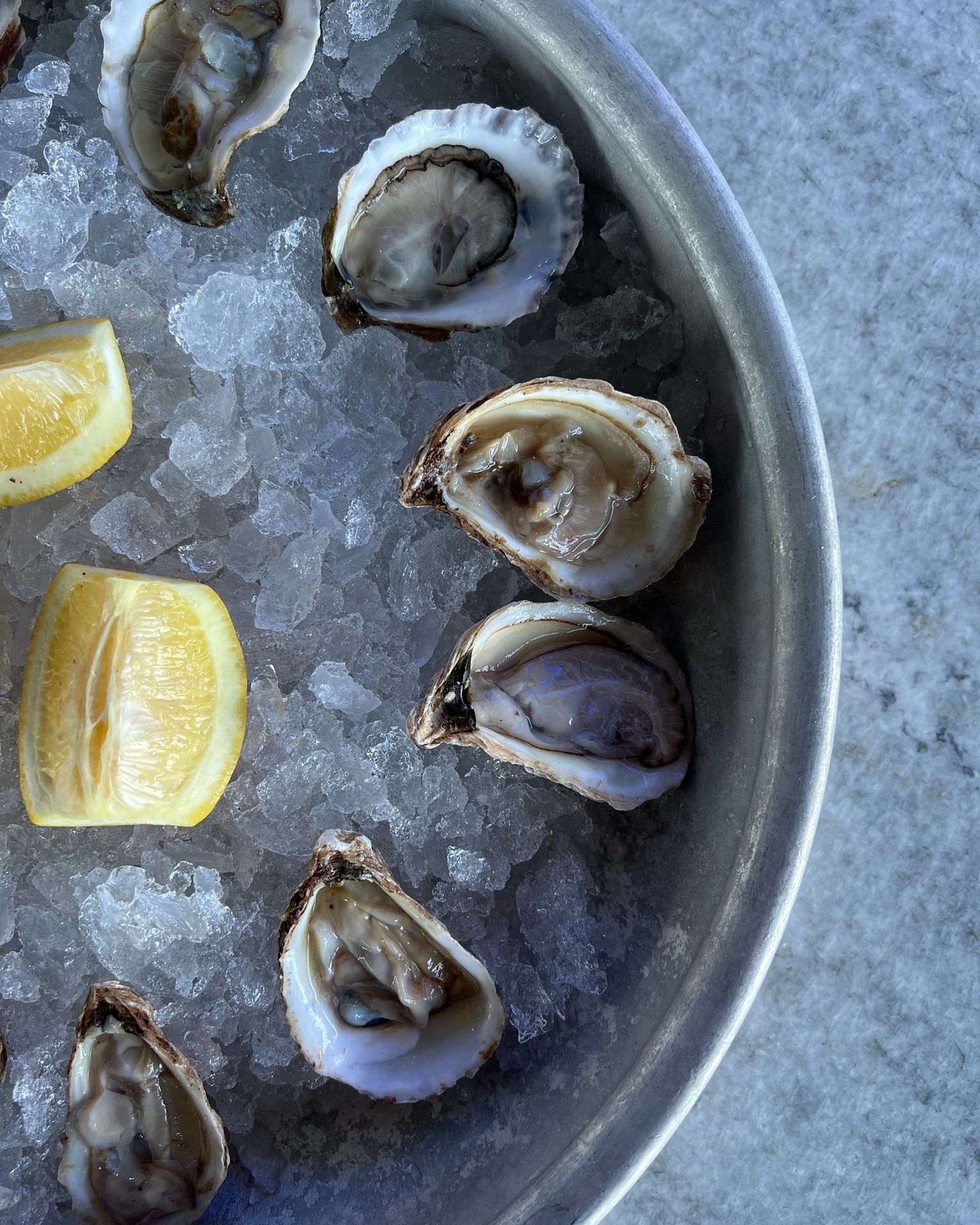Oysters on ice with lemon wedges in a metal tray.