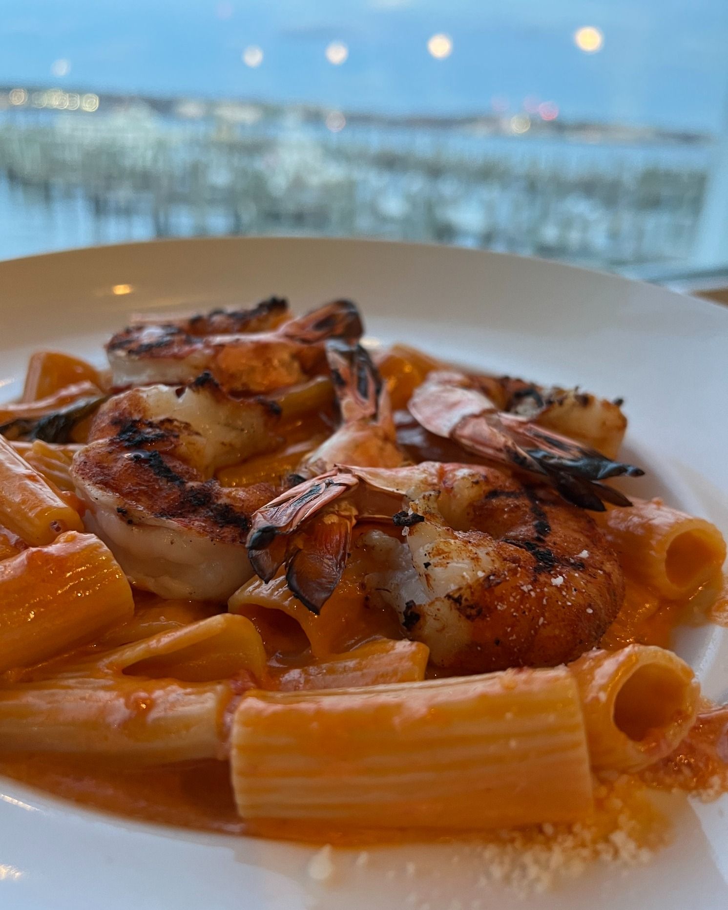 Grilled shrimp over rigatoni pasta in a creamy tomato sauce, on a white plate, with a waterfront view.