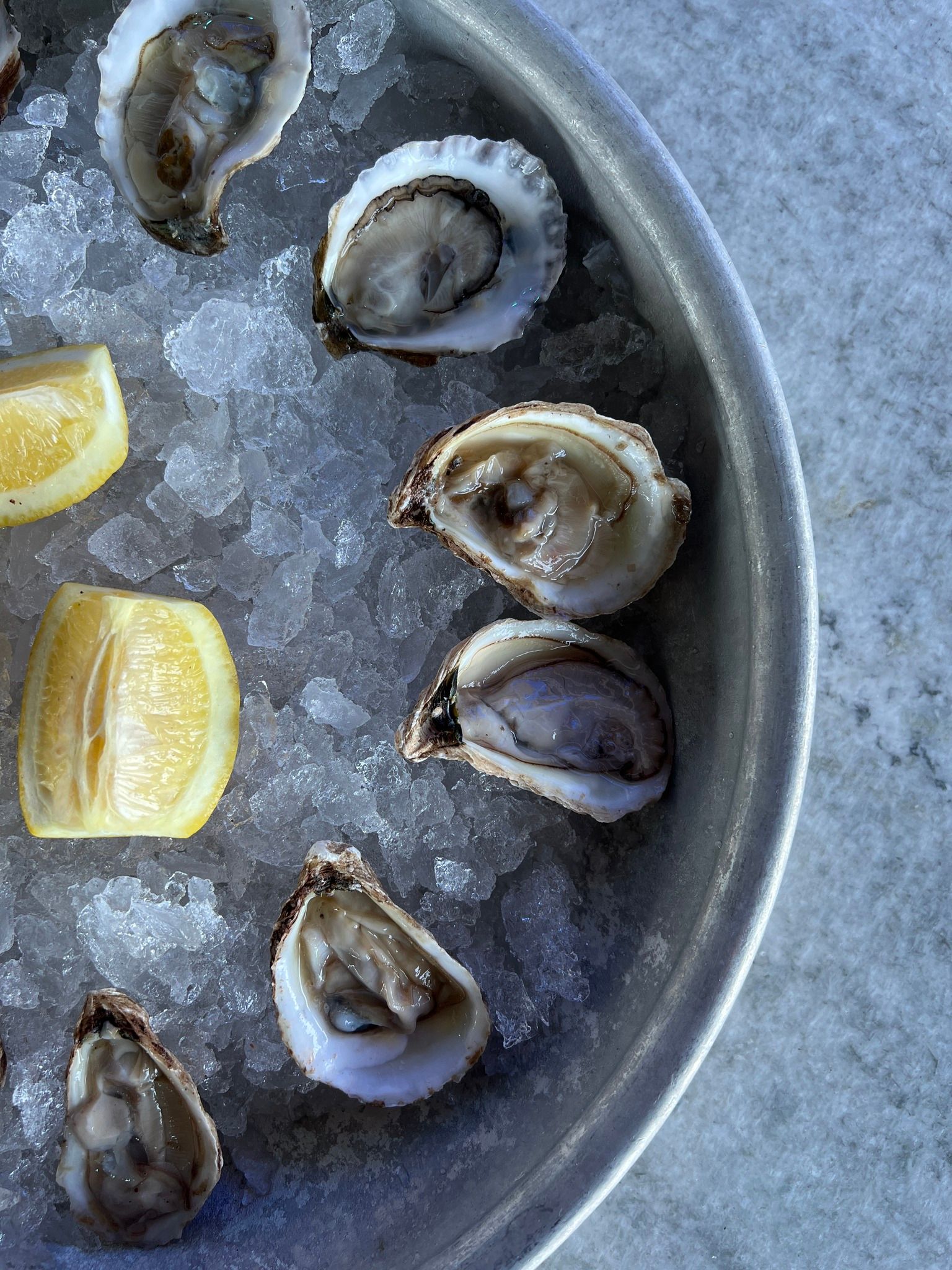 Oysters on ice with lemon wedges in a metal tray.