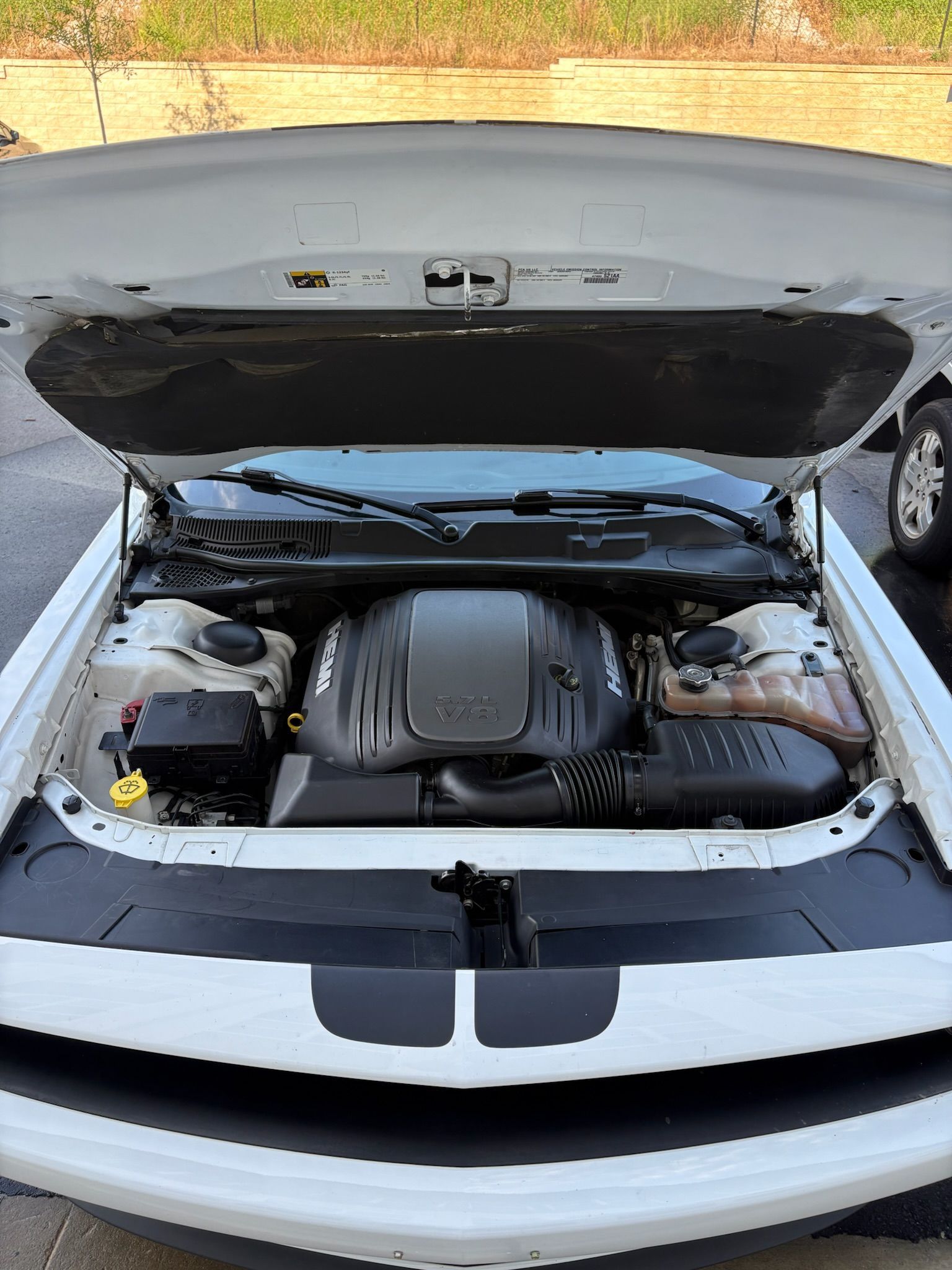 Eco-Friendly Detailing: Clean Cars, Clean Conscience