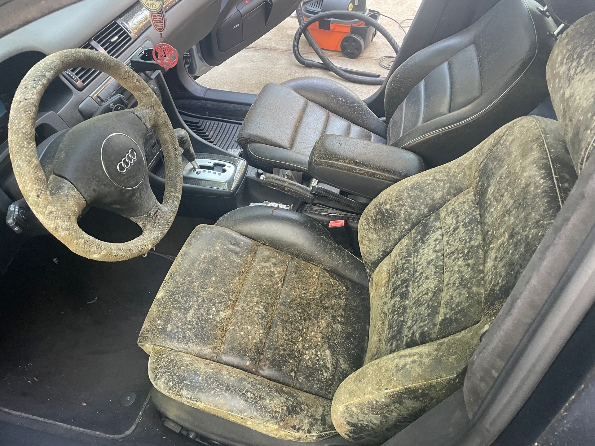 Mold Cleanings