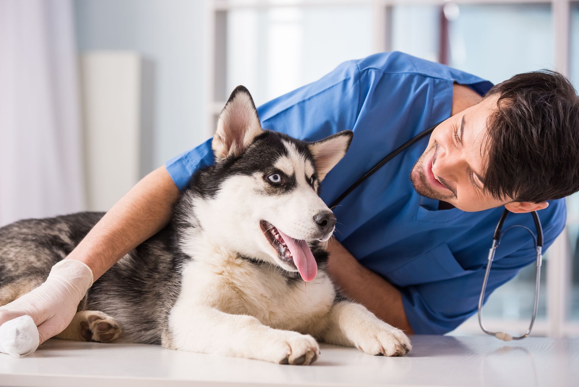 Animal Acupuncture & Rehab Center