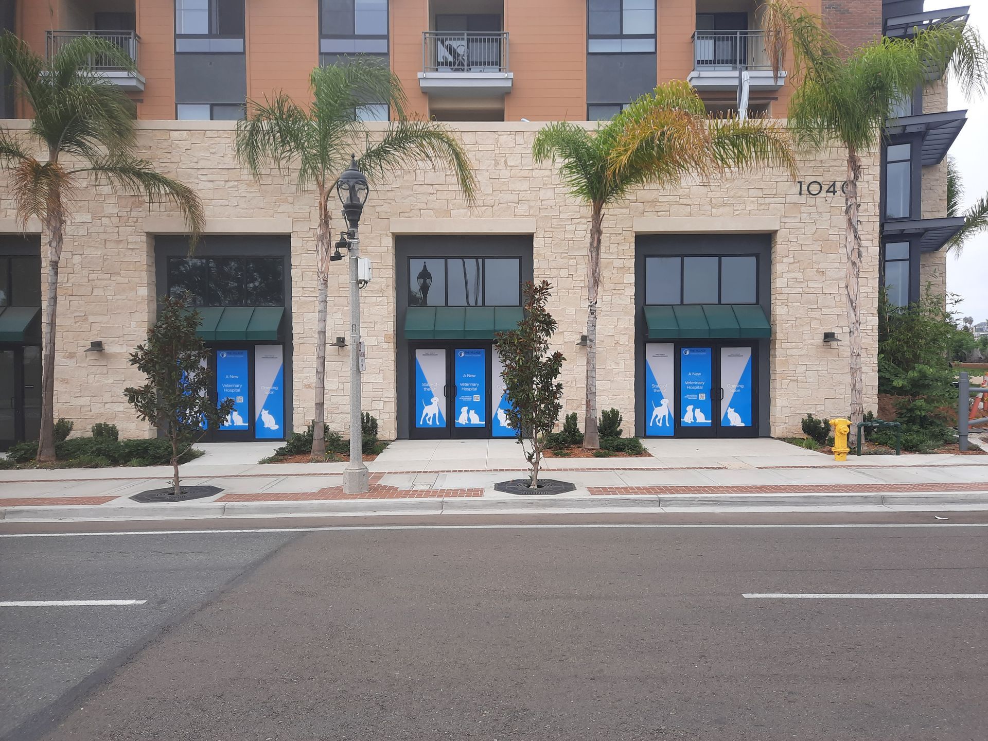 Empty storefronts with blue doors and palm trees along a city street.