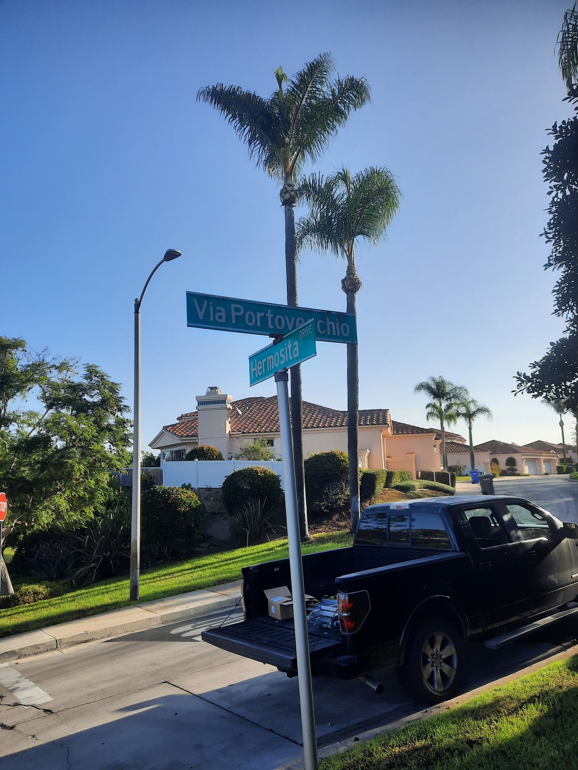 Street sign by palm trees beside a parked black car on a sunny residential street.