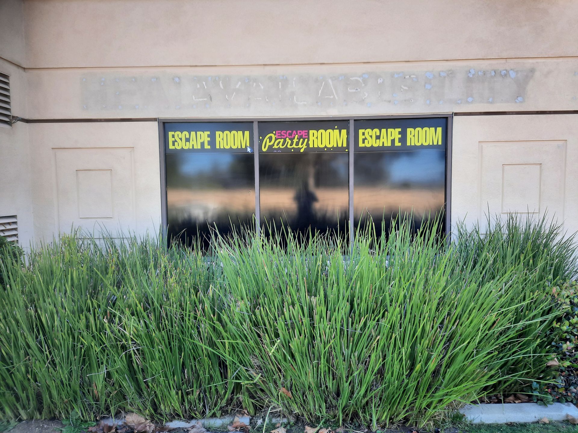 Storefront with three glowing signs reading 