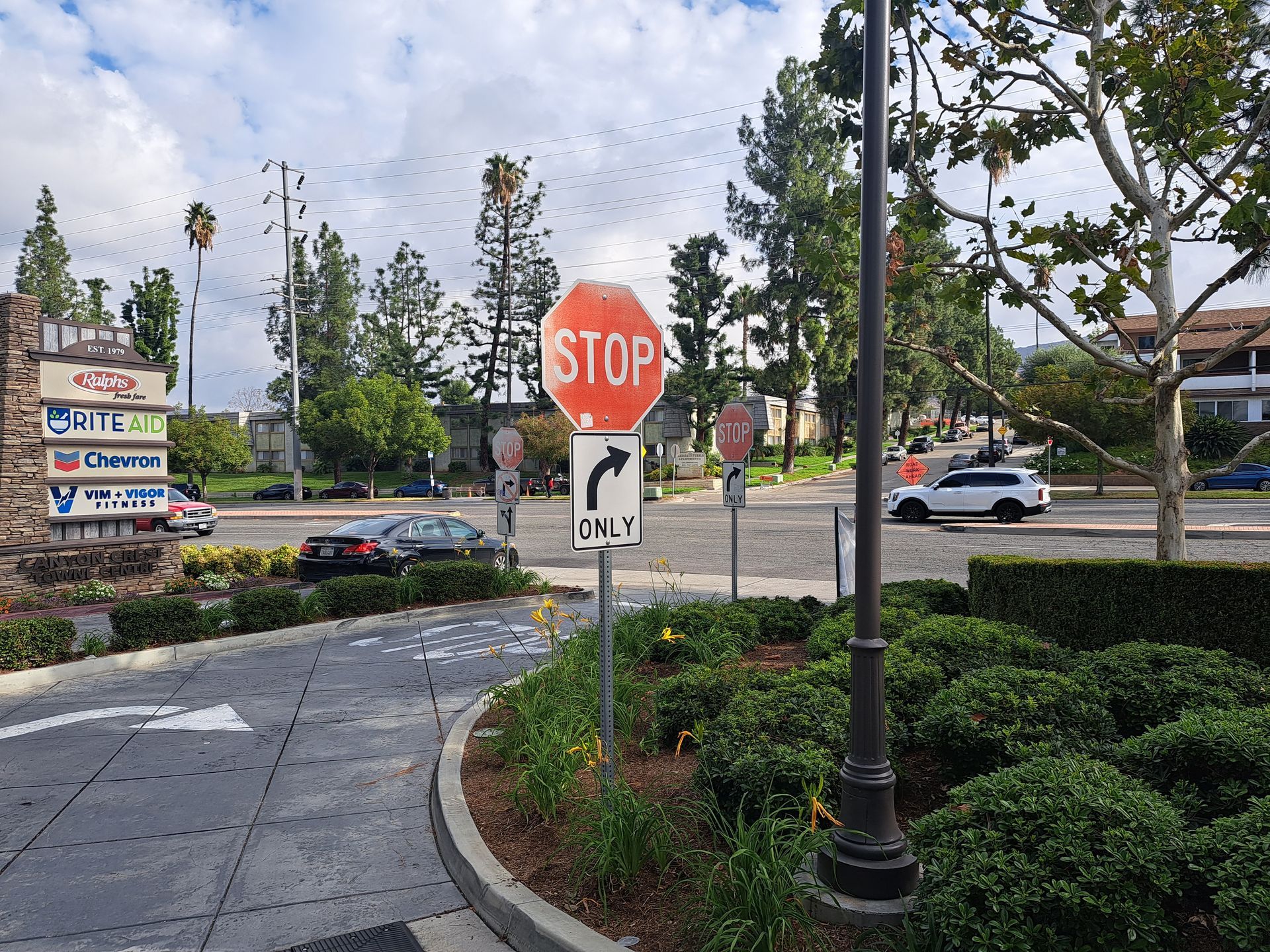 Stop sign at a street corner beside a sidewalk, crosswalk sign, and landscaped median under cloudy skies