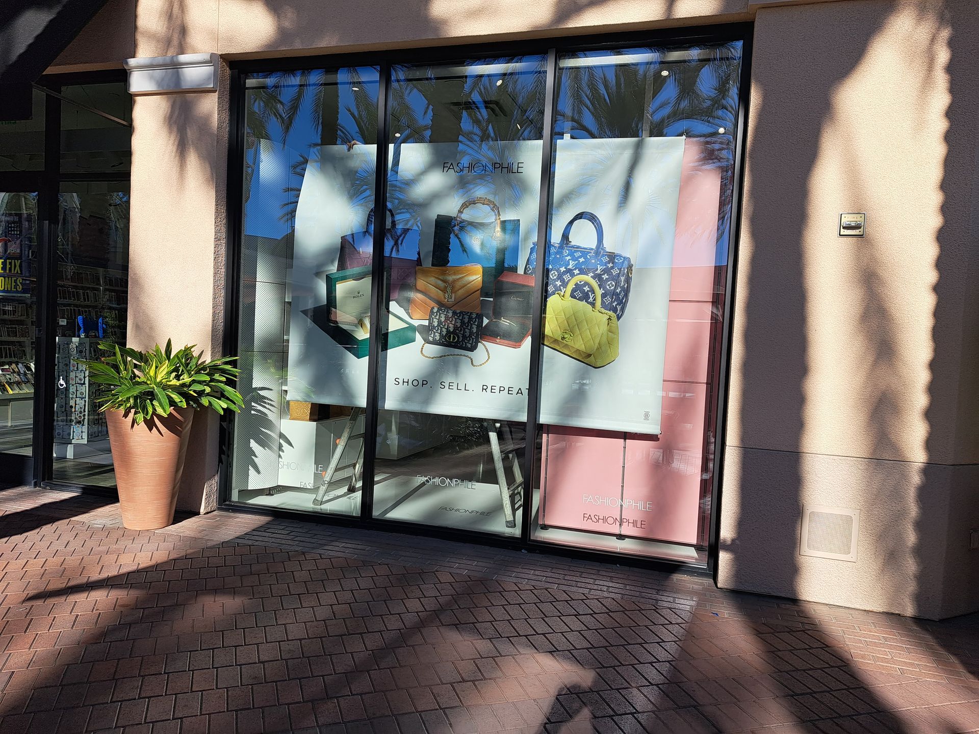 Storefront window with a colorful mural and two potted plants in front of a pink facade