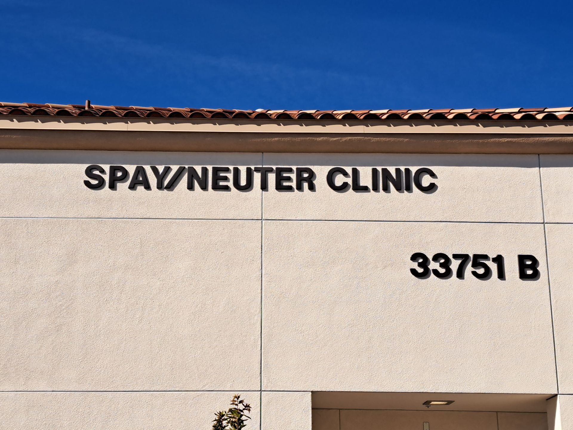 Spay/neuter clinic sign on a beige building under a blue sky
