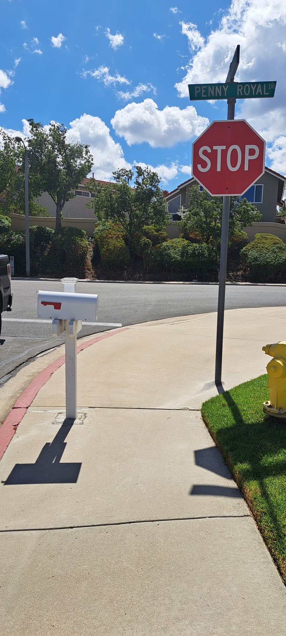 Sidewalk to a stop sign at a sunny suburban street corner with mailbox and palm trees