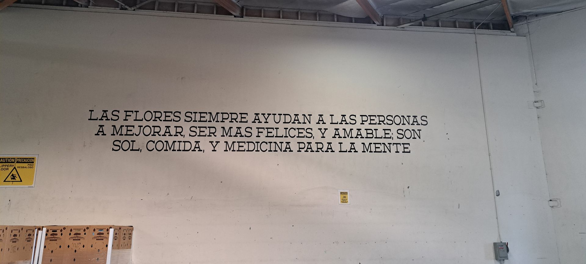 Spanish slogan painted on a white wall in a classroom or hallway.