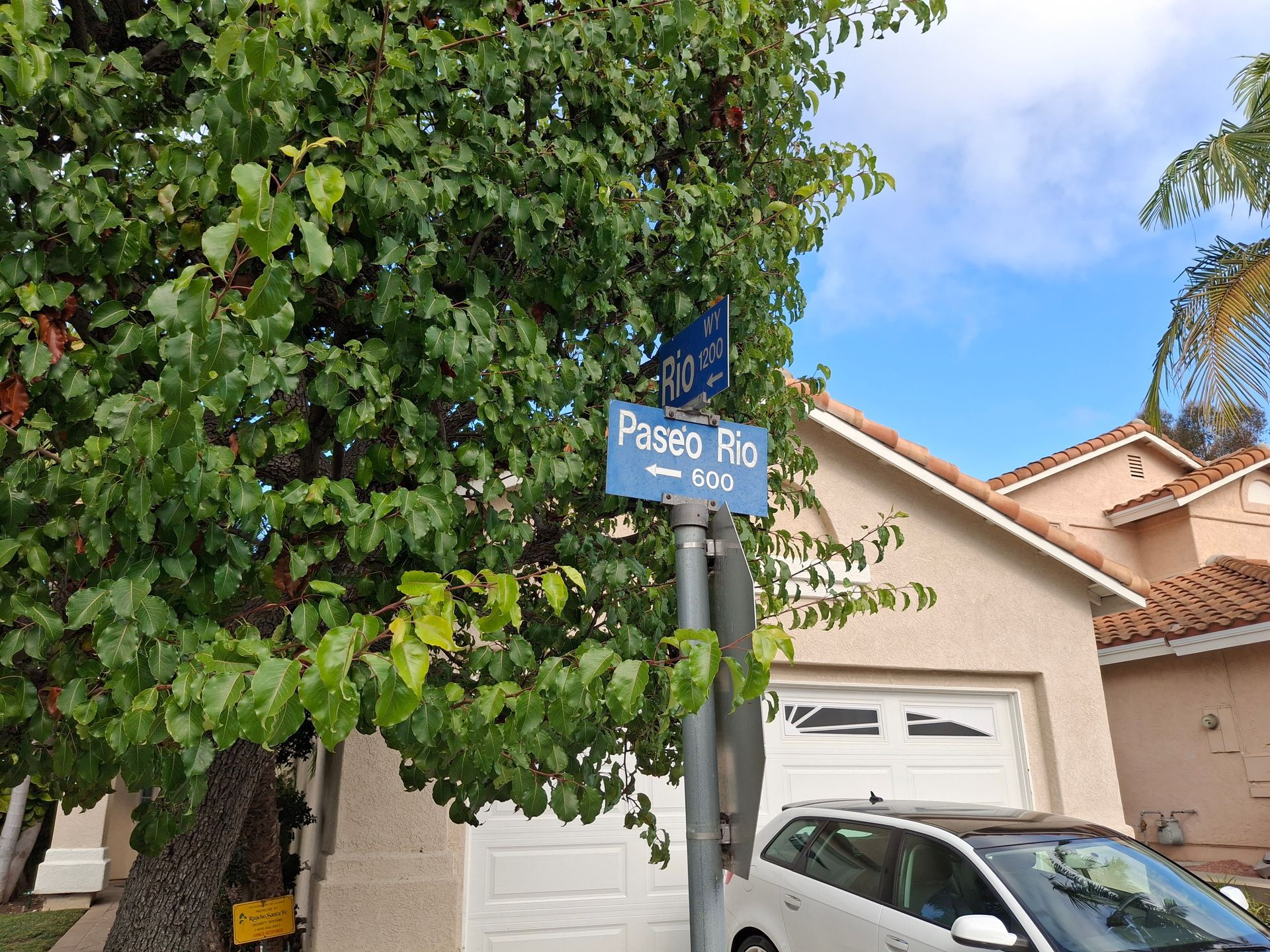 Street sign on a pole beside a leafy tree and a house with a garage, with a car parked in front.