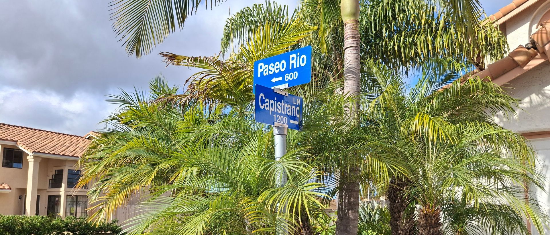 Blue sign by palm trees in front of houses under a cloudy sky
