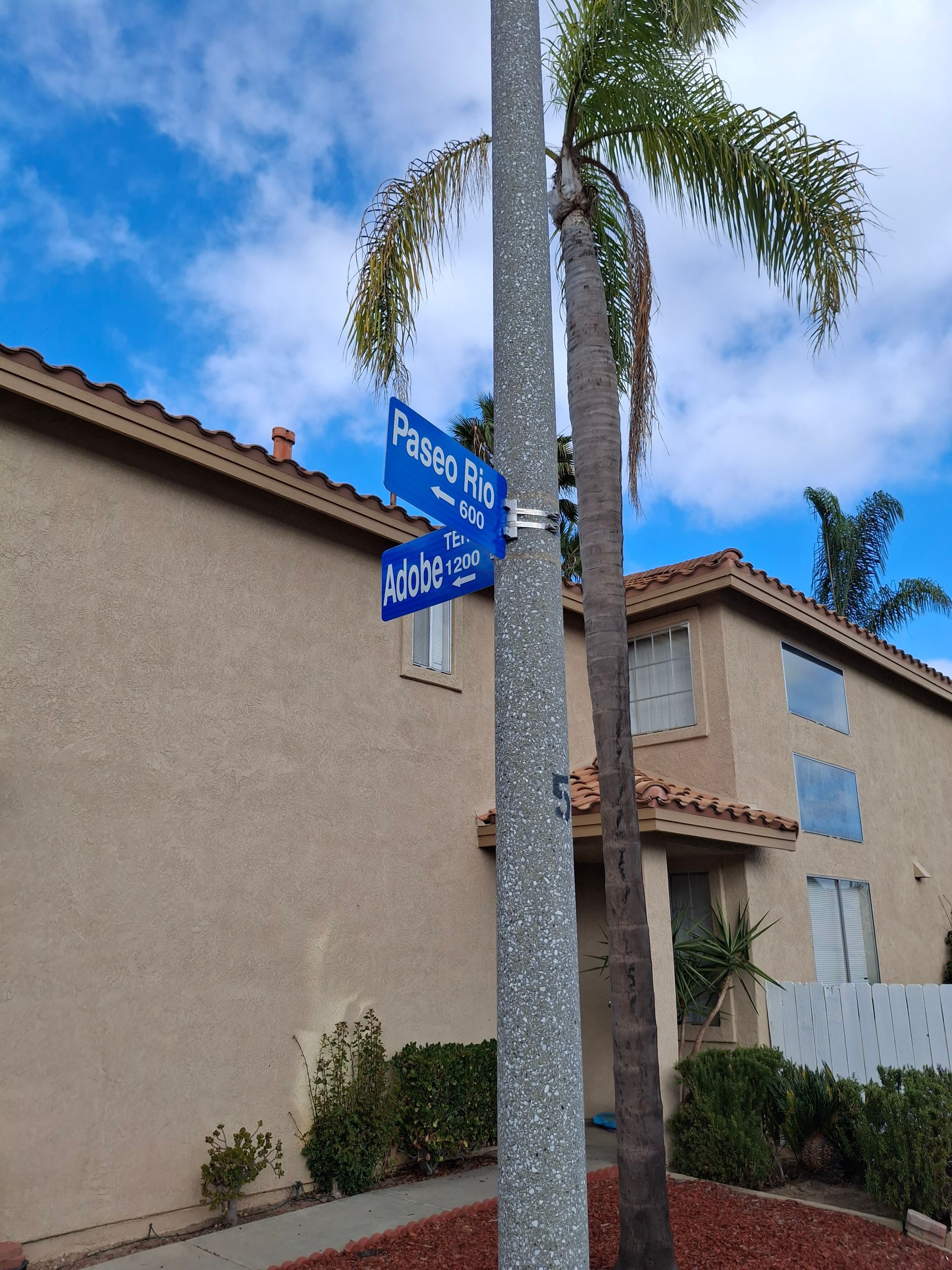 Blue street signs beside a palm tree in front of beige apartment buildings under a clear sky
