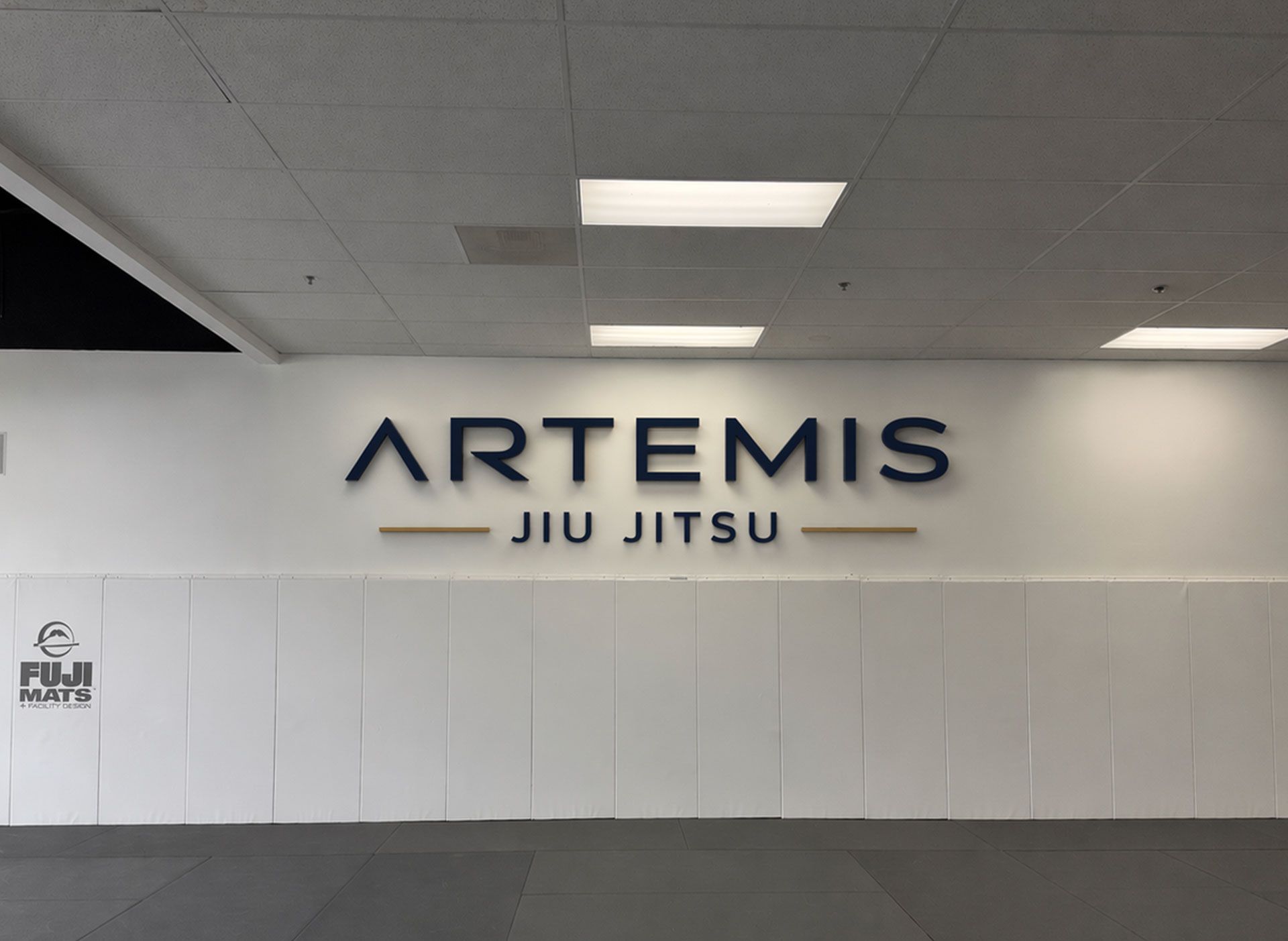 ARTEMIS Jiu Jitsu sign on a white gym wall with gray ceiling tiles above