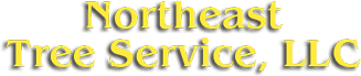 Northeast Tree Service LLC Logo