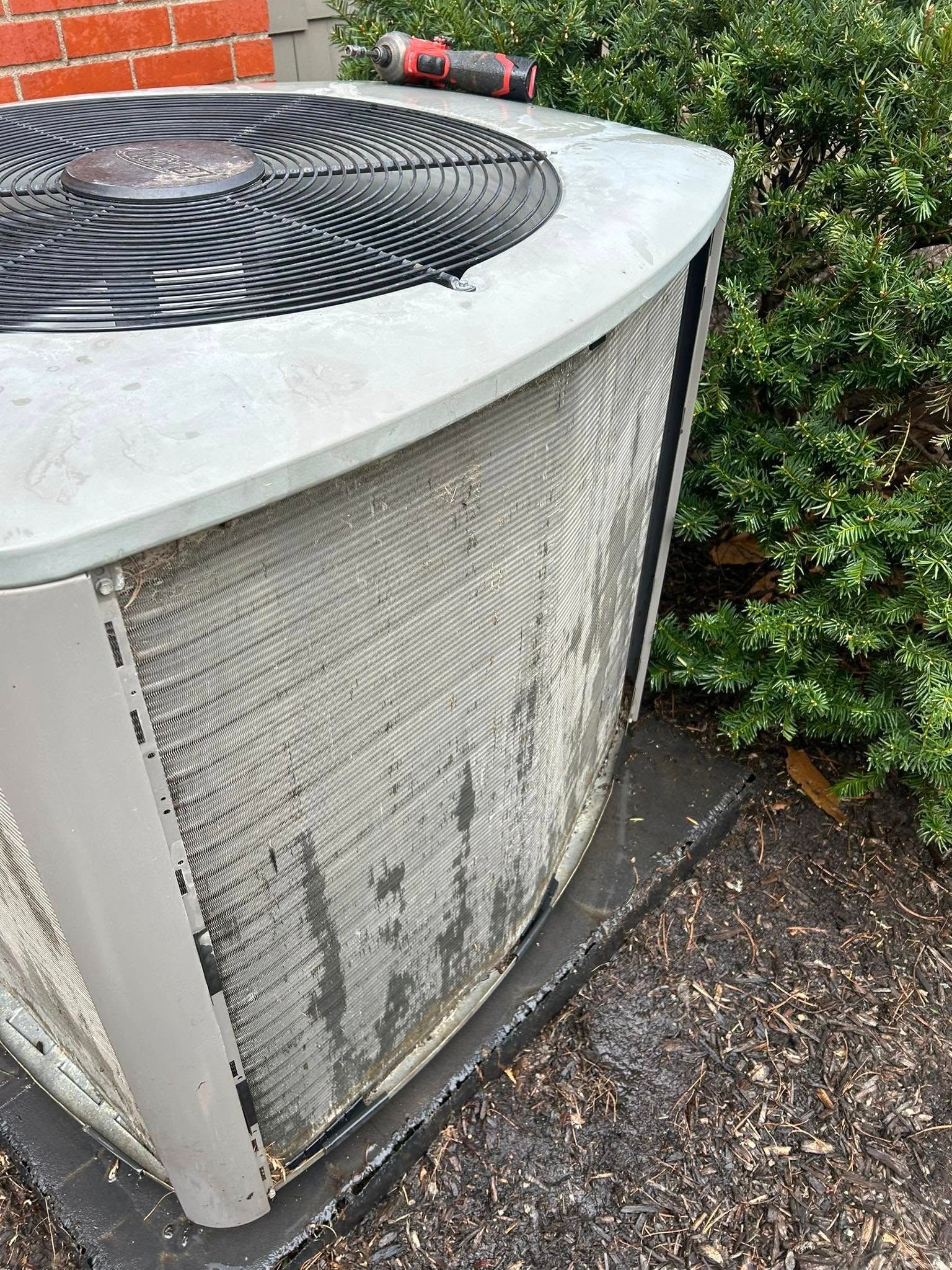 AC unit with dirty fins, next to green bushes and a brick wall.