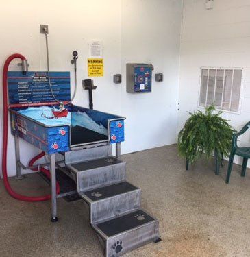 Dog Wash Station