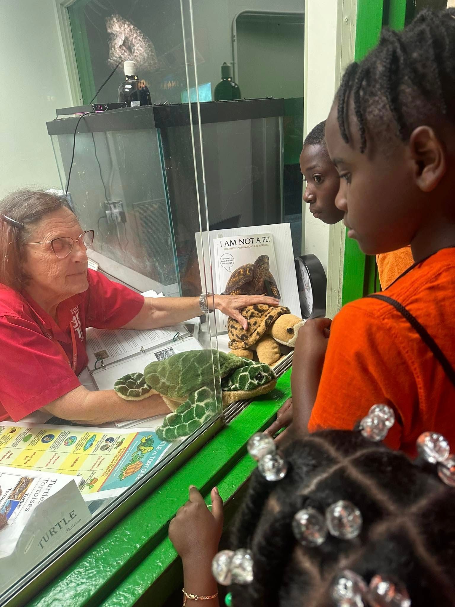 A woman shows kids turtles at a glass exhibit. One girl in orange shirt. Indoor, green details.