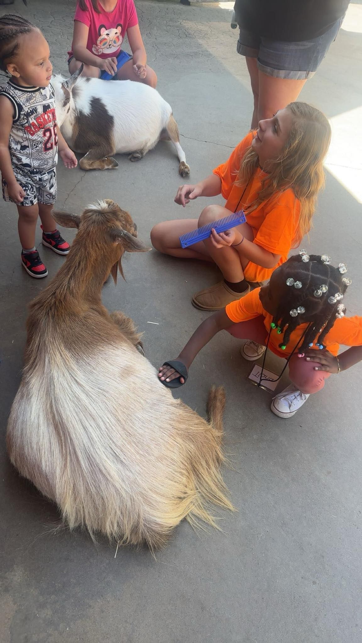 Children and adults petting goats at an outdoor petting zoo.