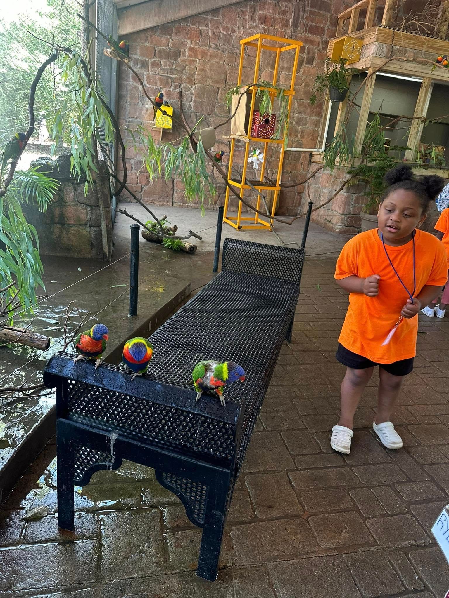 A young girl in an orange shirt stands near a bench with colorful bird statues in a garden setting.