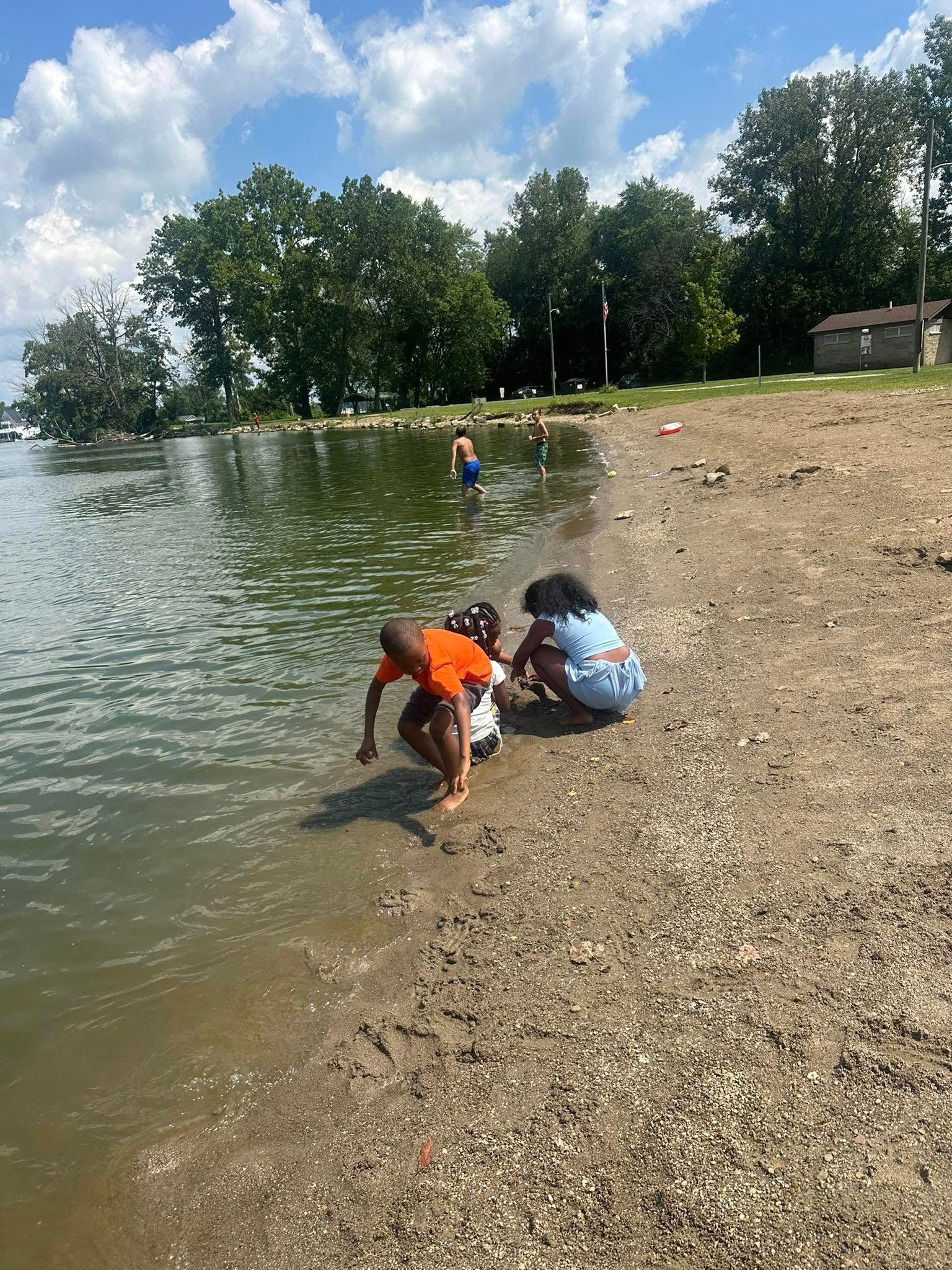 Children playing on a sandy beach with water, under a blue sky, and trees.