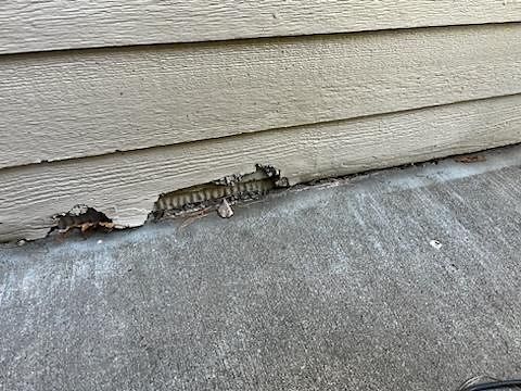 Rotten Siding Repair | West Des Moines
