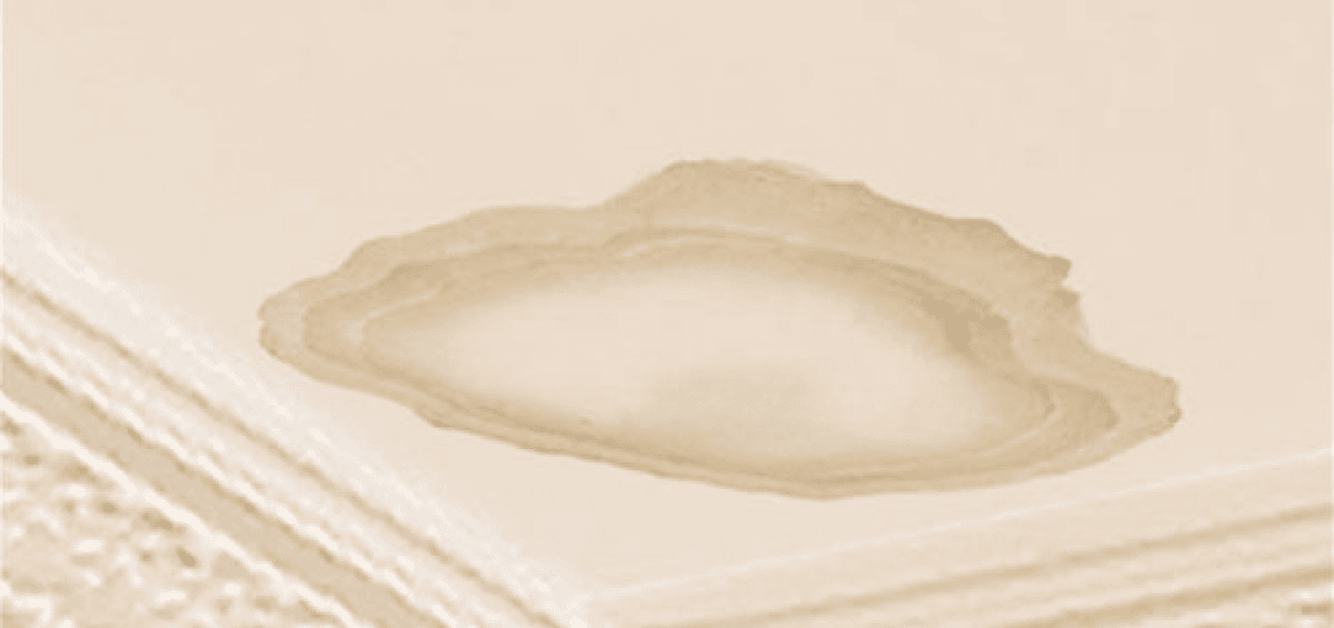 Ceiling Water Stains | Grimes, IA