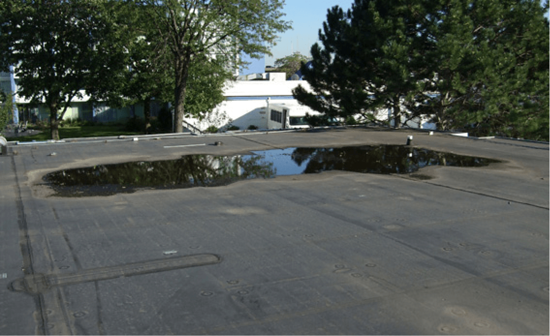 ponding on a flat roof