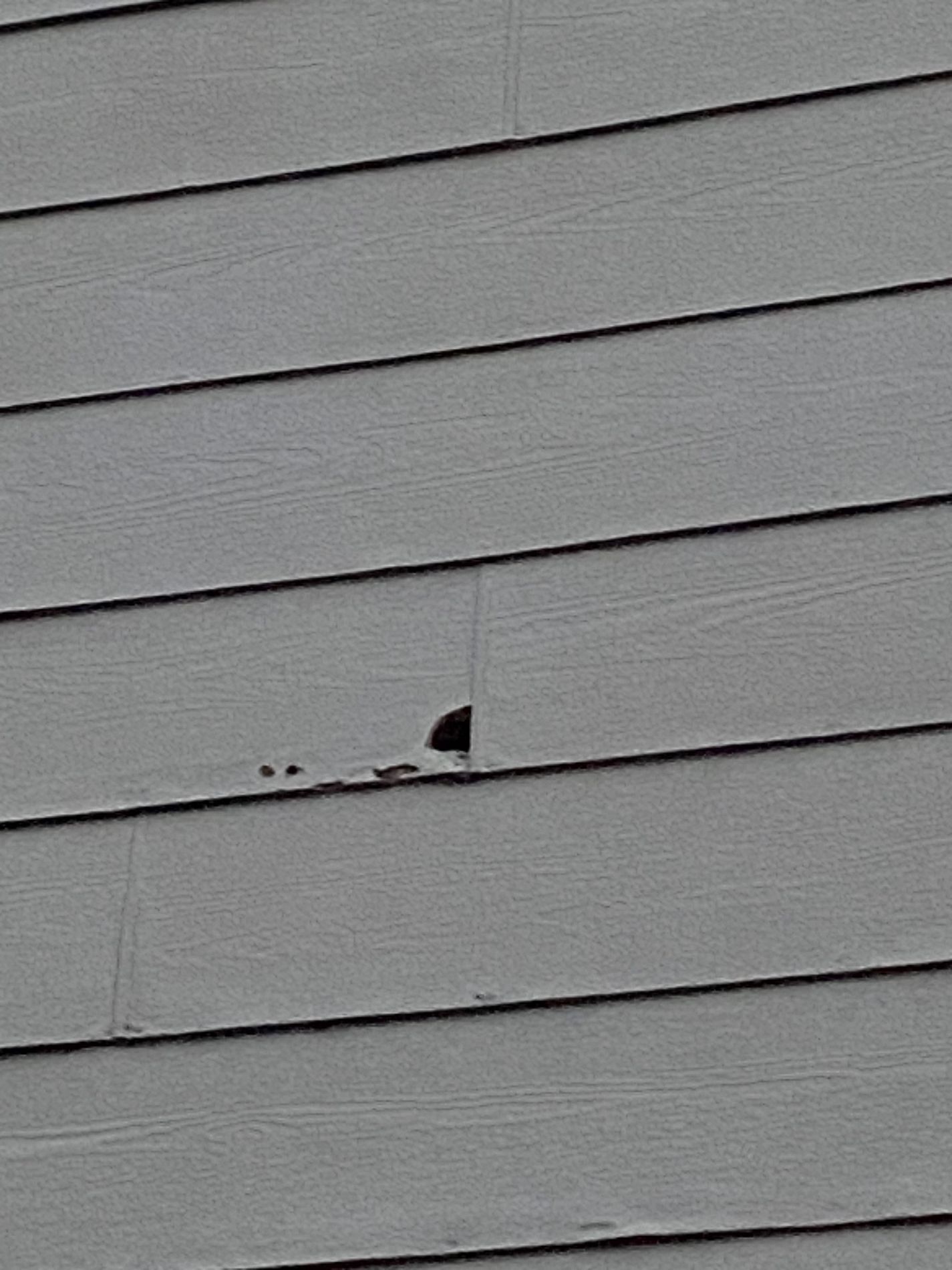 Hole in Siding | Urbandale, IA