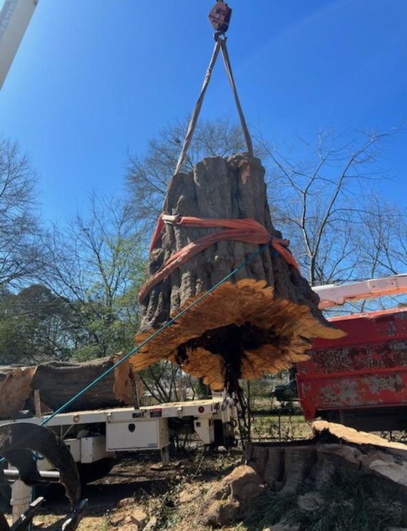 A large tree stump is being lifted by a crane