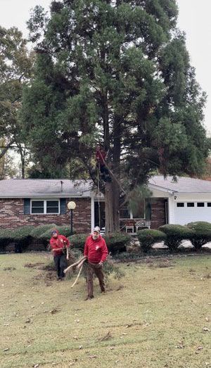 Two men are cutting a tree in front of a house.