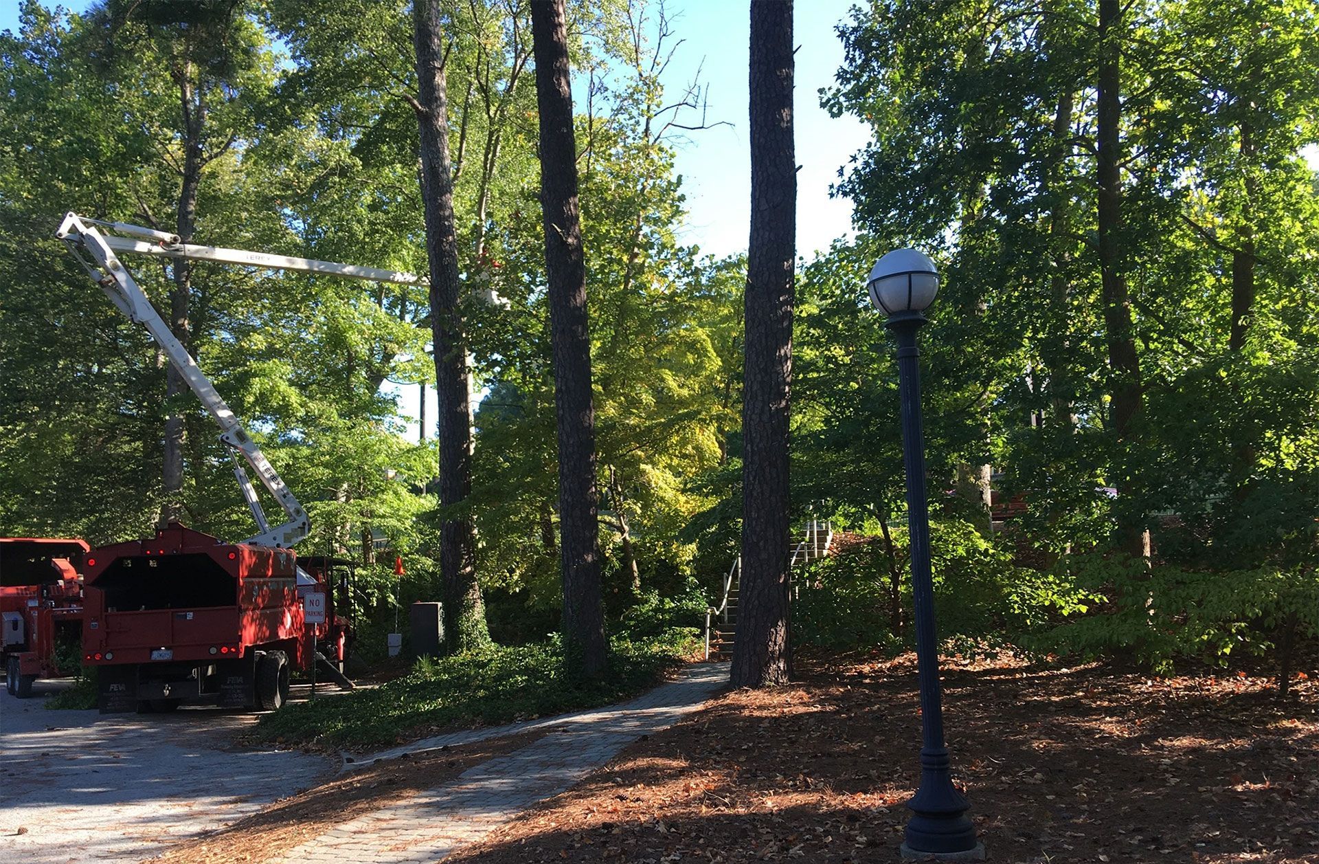 A red truck is parked in the middle of a forest.