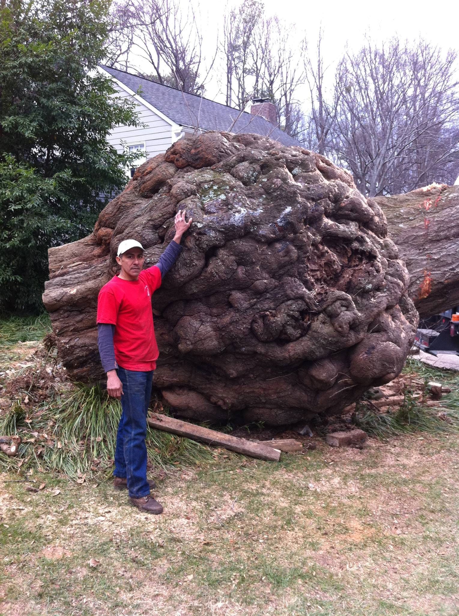 A man in a red shirt is standing next to a large rock.