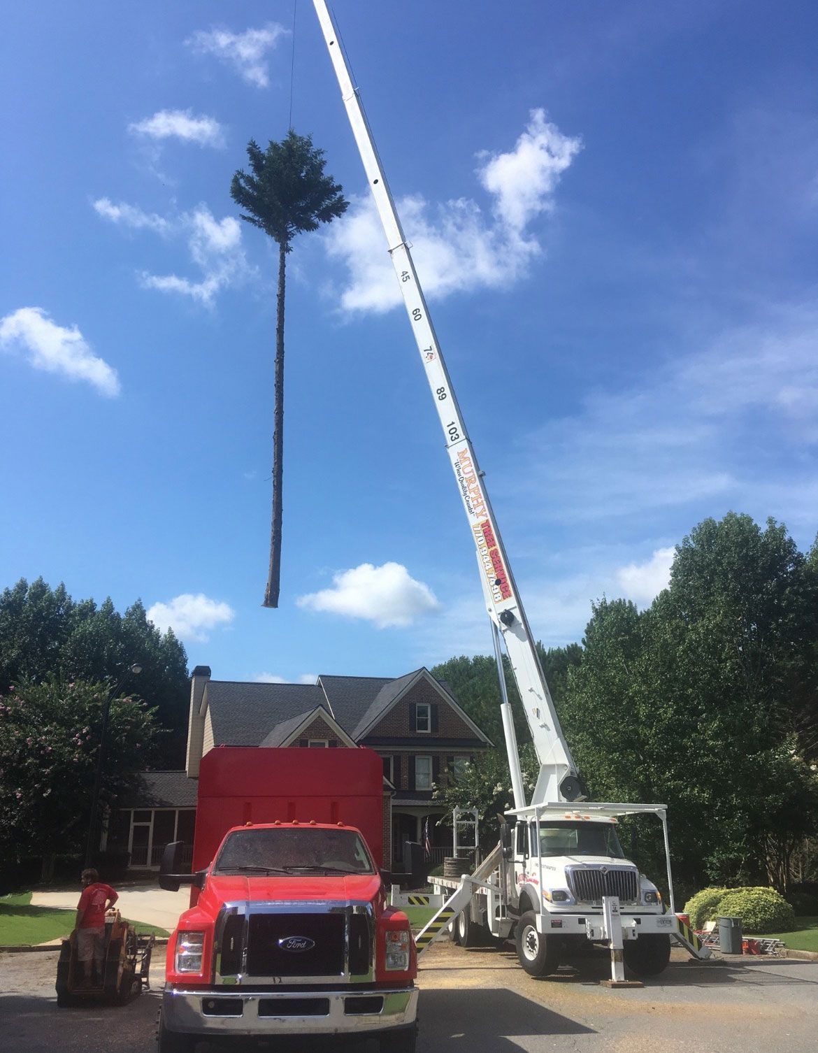 A crane is lifting a tree in front of a house.