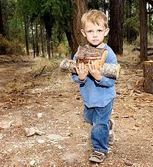 Boy carrying wood