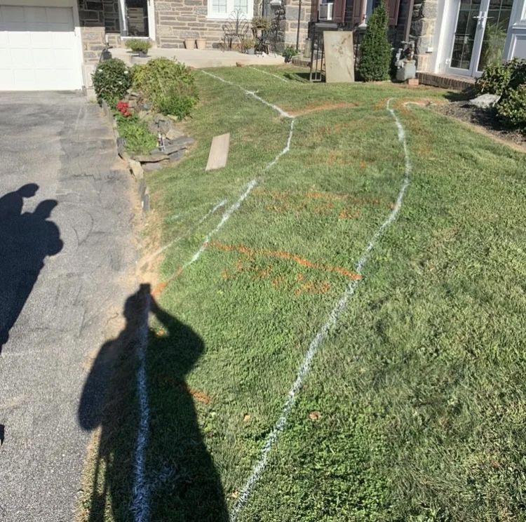 A grassy lawn with white-painted curved lines, likely for landscaping. A shadow of a person holds a phone and takes the photo.