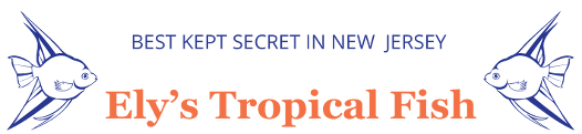 Ely's Tropical Fish Logo
