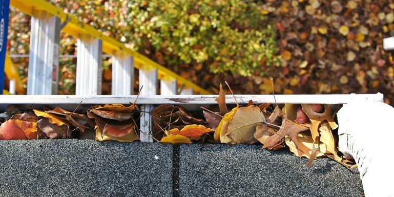 A gutter filled with leaves and a ladder in the background