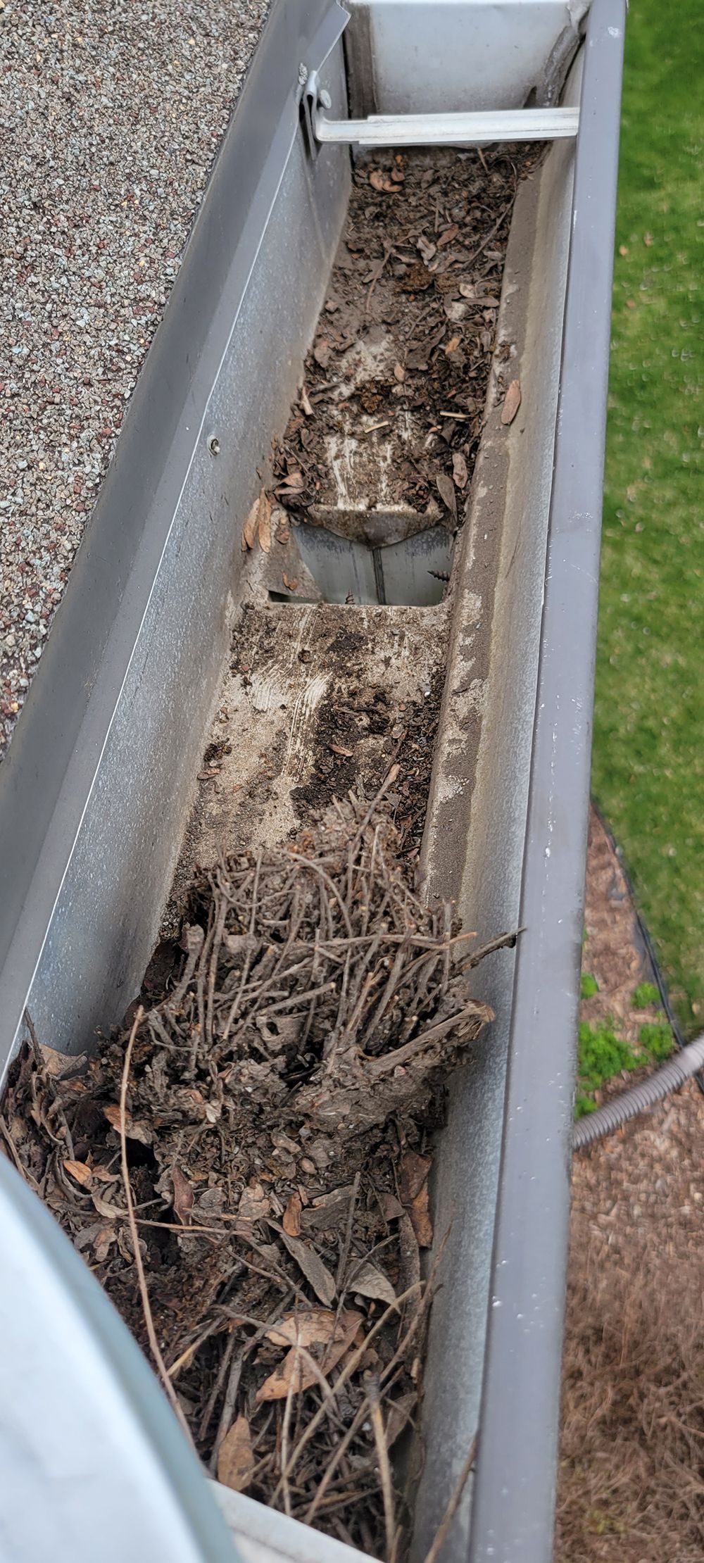 A close up of a gutter filled with leaves and dirt