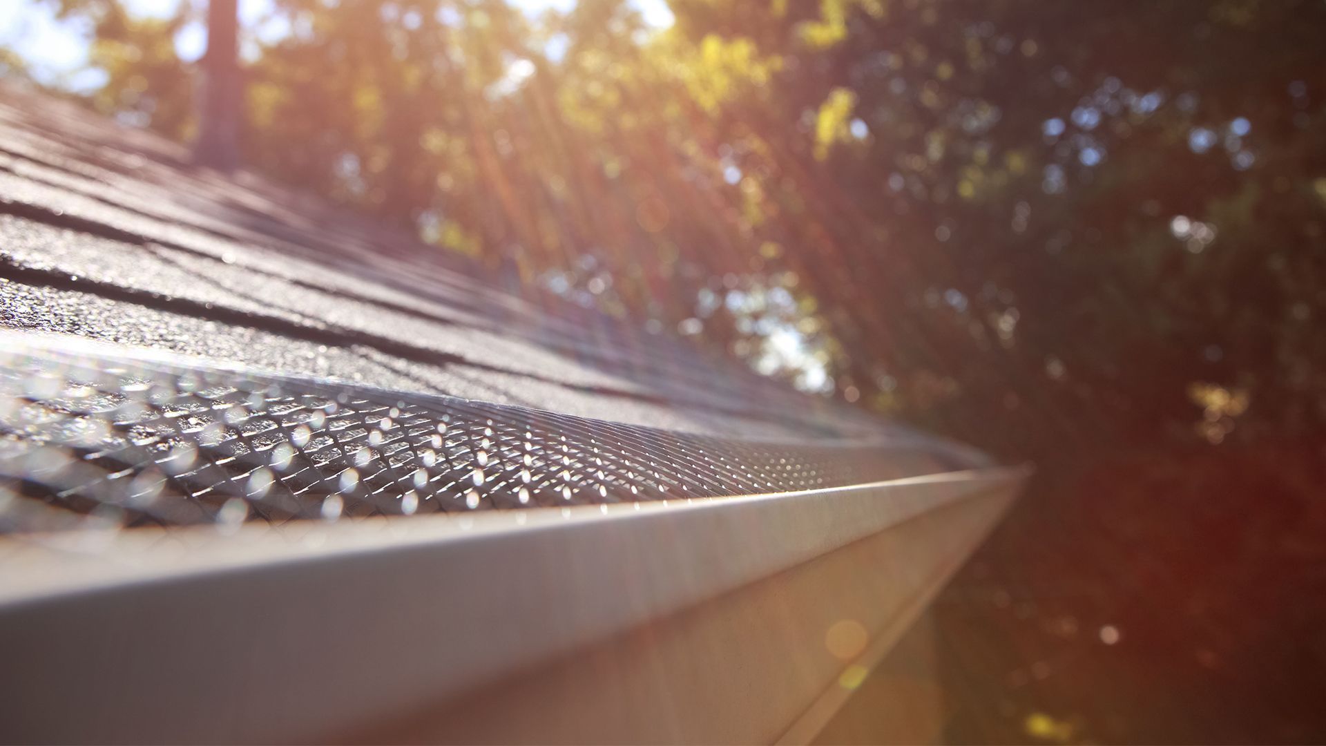 "Gutter Guards" Best Gutter Guard in Green Bay, WI