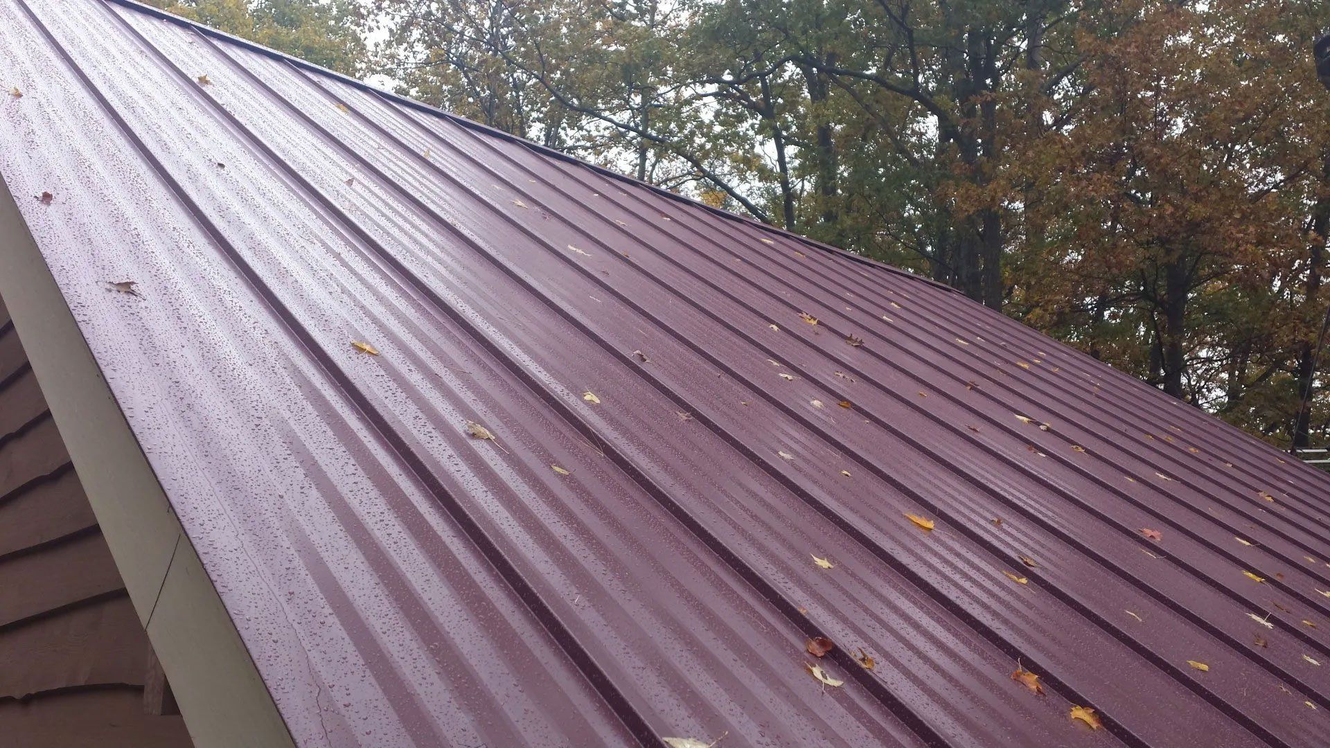Metal Roofing