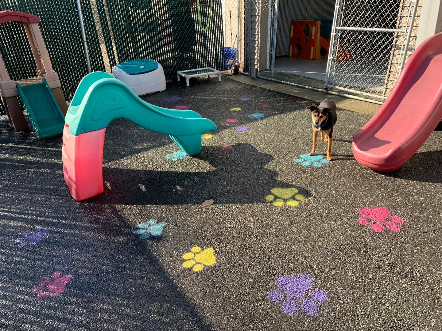 A dog is standing next to a slide in a playground.